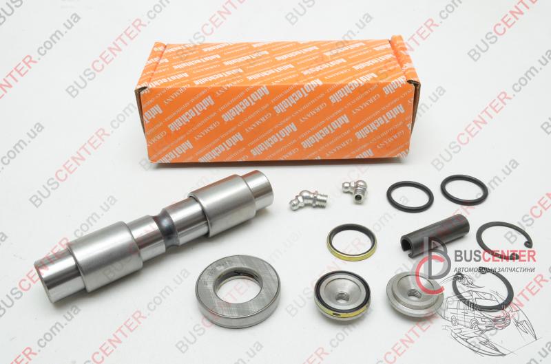 Фотографія запчастини  Шкворня ( на підшипниках)