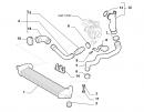 Патрубок интеркулера (шланг)
